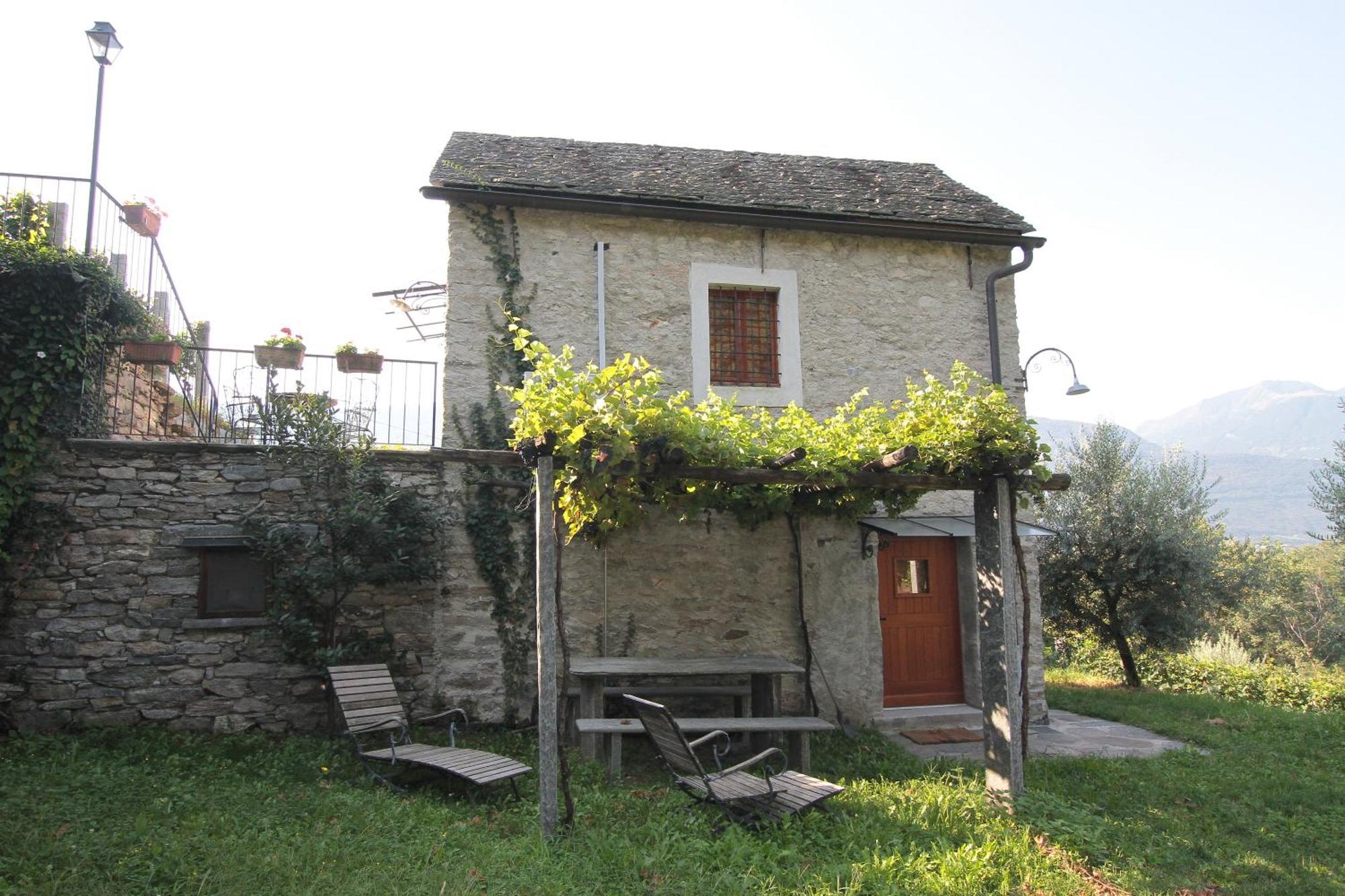 Fattoria L'Amorosa Sementina Quarto foto