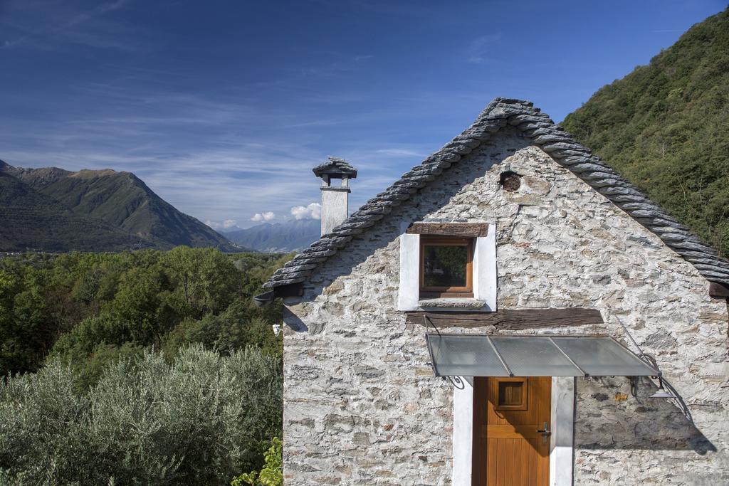 Fattoria L'Amorosa Sementina Quarto foto