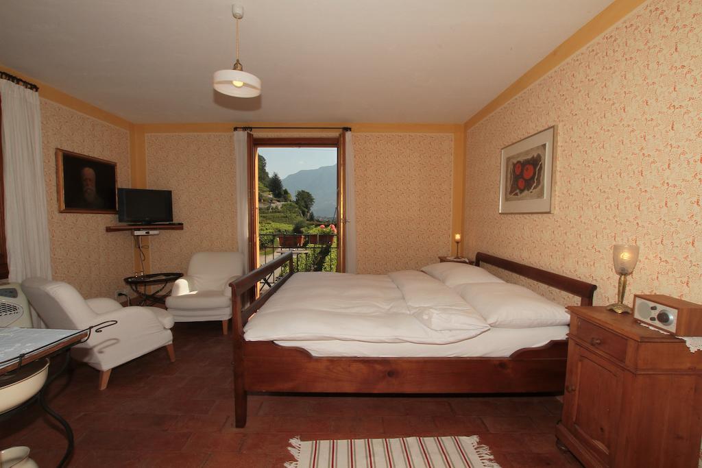 Fattoria L'Amorosa Sementina Quarto foto